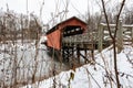 Shaeffer Campbell Covered Bridge through the brambles Royalty Free Stock Photo