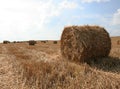 Shaft of straw