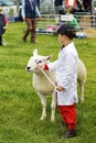 A young boy waiting for his sheep to be judged at the 2015 Gillingham & Saftesbury Agricultural Show, Dorset, United Kingdom Royalty Free Stock Photo