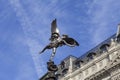 Shaftesbury Memorial Fountain, statue of a mythological figure Anteros, Piccadilly Circus, London, United Kingdom.