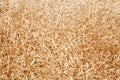 Shaggy carpet background Royalty Free Stock Photo