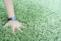 Shaggy carpet and watch Royalty Free Stock Photo