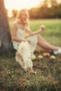 Shaggy dog with a black nose, in the background a girl with apples, walking out on the outdoors Royalty Free Stock Photo