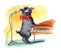 Shaggy dog singing Royalty Free Stock Photo