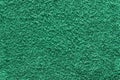 Shaggy green carpet