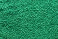 Shaggy green carpet