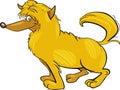 Shaggy yellow dog Royalty Free Stock Photo