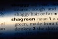 shagreen Royalty Free Stock Photo