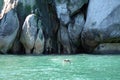 Shags on rock in Abel Tasman National Park, New Zealand