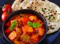 Shahi Paneer- Punjabi curry with roti Royalty Free Stock Photo