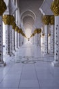 Shaikh Zayed Mosque Royalty Free Stock Photo