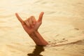 Shaka hand gesture surfers symbol.young surfer man with surfboard on the beach summer sunset sea.surfing man traditional Royalty Free Stock Photo