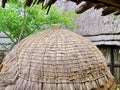 Shakaland, closeup of Zulu wooden hut with reed roof. South Africa Royalty Free Stock Photo