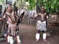 SHAKALAND, SOUTH AFRICA - CIRCA NOVEMBER 2011: Unidentified Zulu warrior dancers