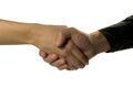 Shake Hands