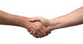 Shake hands Royalty Free Stock Photo