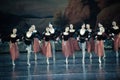 Shake handshandle dance-ballet Swan Lake Royalty Free Stock Photo