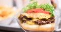 Shake shack burger yummy beef burger with melting cheese and vegetables Royalty Free Stock Photo