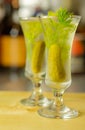 Shaken vodka and pickle juice with ice in shot glass and garnishing with small pickled cucumber and dill Royalty Free Stock Photo