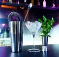 Shaker and bar inventory Royalty Free Stock Photo