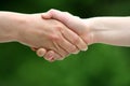 Shaking hands Royalty Free Stock Photo