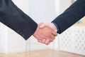 Shaking hands Royalty Free Stock Photo