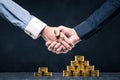 Shaking hands with save money Royalty Free Stock Photo