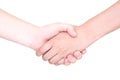 Shaking hands of two female people. Royalty Free Stock Photo
