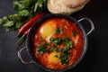 Shakshouka, eggs poached in sauce of tomatoes, olive oil, peppers, onion and garlic Royalty Free Stock Photo