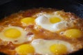 Shakshouka - fried eggs with tomatoes, Israeli national dish. Royalty Free Stock Photo