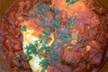 Close-up of shakshouka Maghrebi dish