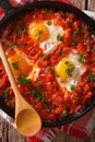 Shakshuka fried eggs macro in a frying pan. vertical top view Royalty Free Stock Photo