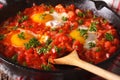 shakshuka fried eggs with sauce close up in a frying pan. horizontal