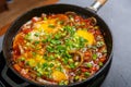 Shakshuka with herbs in a frying pan on a gray background.close-up. Royalty Free Stock Photo