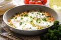 Shakshuka - traditional dish of israeli cuisine in a skillet Royalty Free Stock Photo