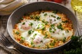 Shakshuka - traditional dish of israeli cuisine in a skillet Royalty Free Stock Photo