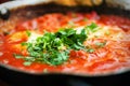 Shakshuka. Traditional jewish food and middle eastern cuisine recipe. Fried eggs, tomatoes, bell pepper and parsley in a Royalty Free Stock Photo