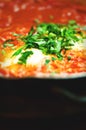 Shakshuka. Traditional jewish food and middle eastern cuisine recipe. Fried eggs, tomatoes, bell pepper and parsley in a Royalty Free Stock Photo