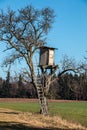 Shaky raised hide up on top of a high tree