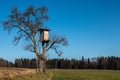 Shaky raised hide up on top of a high tree