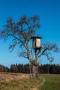 Shaky raised hide up on top of a high tree