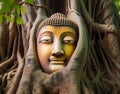 Shakyamuni Buddha head in tree roots