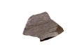 Raw specimen of shale clastic sedimentary rock isolated on white background. Royalty Free Stock Photo