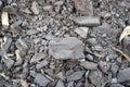 Shale rock stone on nature background. Royalty Free Stock Photo