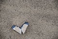 Shall with heart shape on beach