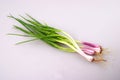 Shallot Royalty Free Stock Photo