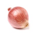 Shallot Royalty Free Stock Photo