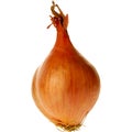 Shallot Royalty Free Stock Photo