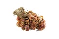 Shallot bundle isolated Royalty Free Stock Photo