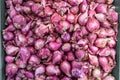 Shallot Royalty Free Stock Photo